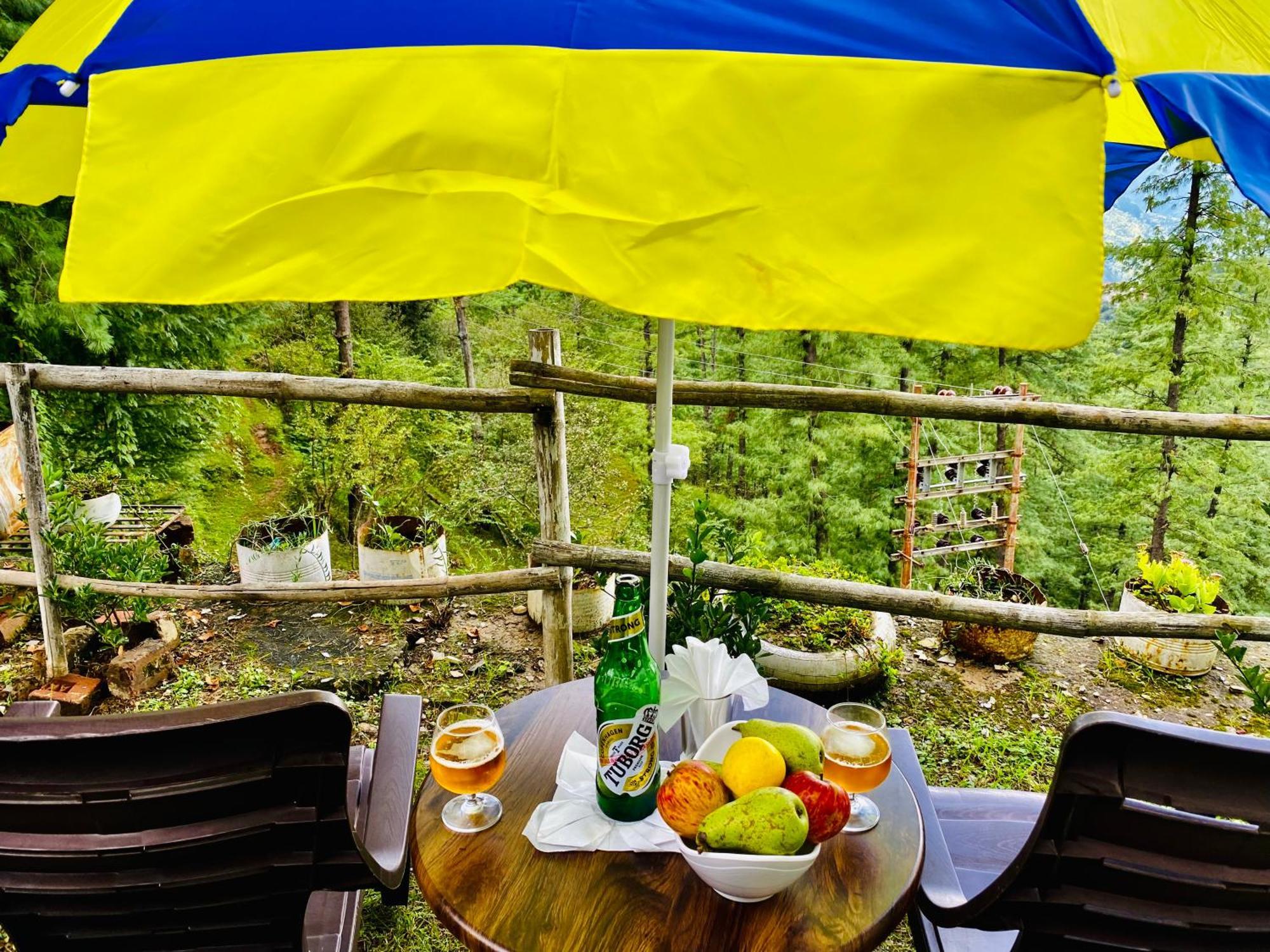 Royal Green Mashobra - Mountain And Valley View Rooms Шимла Экстерьер фото